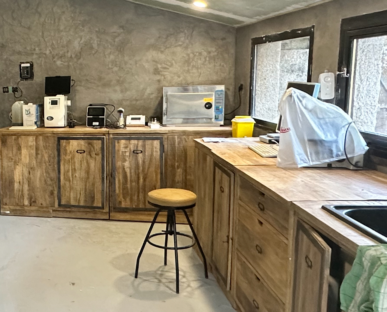 Équipement d'analyse sanguine équine