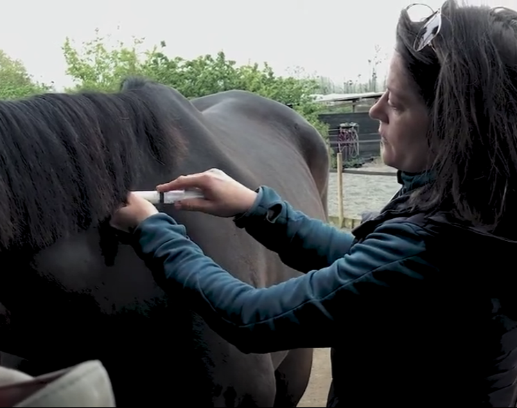 Service de médecine préventive équine